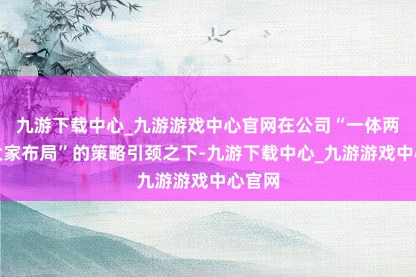 九游下载中心_九游游戏中心官网在公司“一体两翼、大家布局”的策略引颈之下-九游下载中心_九游游戏中心官网