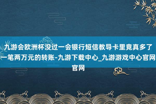 九游会欧洲杯没过一会银行短信教导卡里竟真多了一笔两万元的转账-九游下载中心_九游游戏中心官网