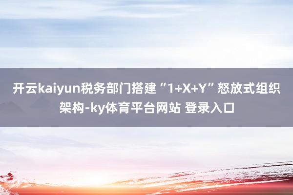 开云kaiyun税务部门搭建“1+X+Y”怒放式组织架构-ky体育平台网站 登录入口