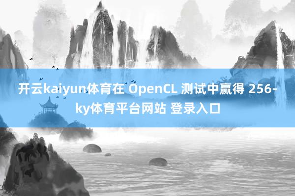 开云kaiyun体育在 OpenCL 测试中赢得 256-ky体育平台网站 登录入口